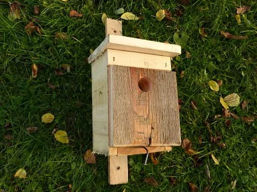 Jak zrobić domki dla ptaków - proste kroki, aby przyciągnąć ptaki