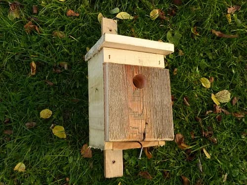 Jak zrobić domki dla ptaków - proste kroki, aby przyciągnąć ptaki