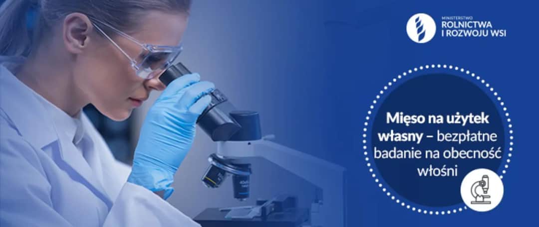 Ile kosztuje badanie mięsa u weterynarza? Sprawdź, co musisz wiedzieć